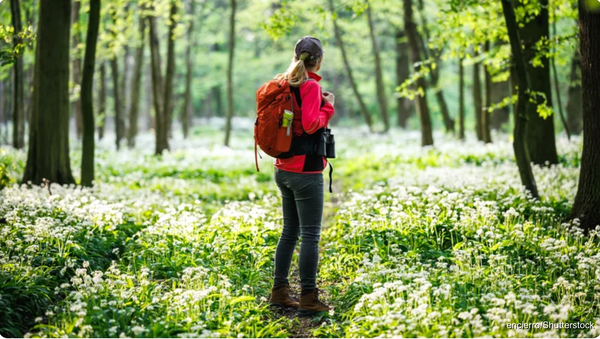 🎒 How to Choose the Right Hiking Backpack for Your Next Adventure - 2025 Guide